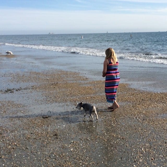 We did something "different" today and went to the beach with our doggie Lincoln. #365