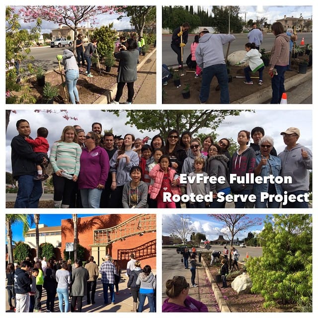 All done with our Community Serve Project for #evfreerooted #rooted #lovefullerton #mulch #plants #lovefullerton