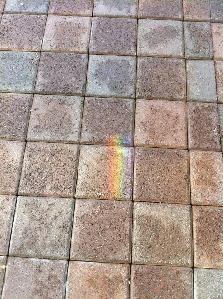 A little bit of color in your life Post image