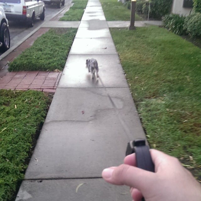 And then momma takes me all the way over here Post image