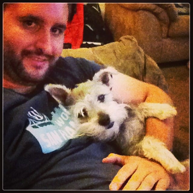 Moms away, Lincoln has been next to me all day long. Poor lil guy #football #schnauzer #cuddling Post image