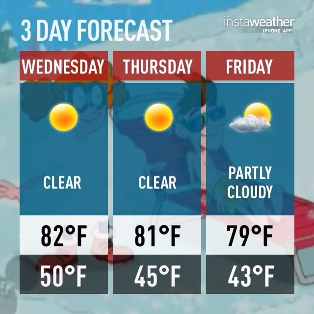 #Christmas in Southern California - #Swinter Wonderland #82☀️ #WhatIsSnow? Post image