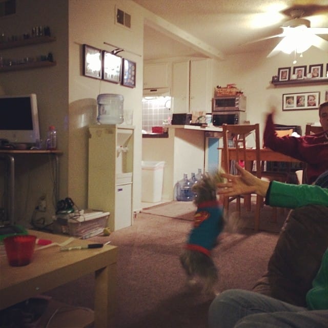 Playing "a game" of fetch with Lincoln #365 Post image