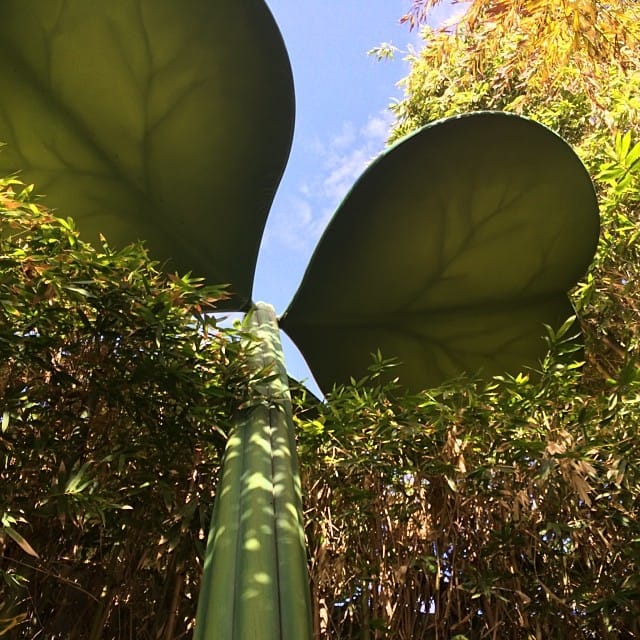 Light coming from high above the small clover I'm under #365 Post image