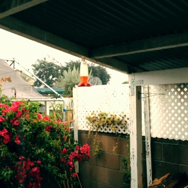 Stormpocalypse 2014 LA edition #storm #rain #LA Post image