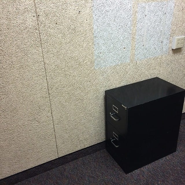 The "texture" of this Tectum on the walls of my office reminds me of coral. #365 Post image