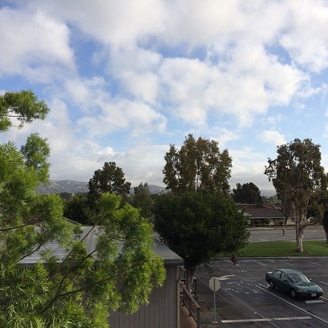My #morningview Post image