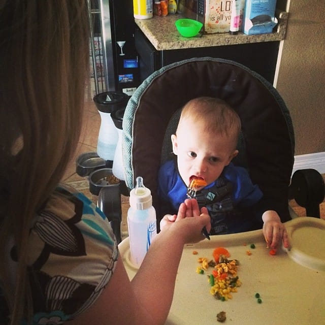 Eat that orange lil cousin! Post image