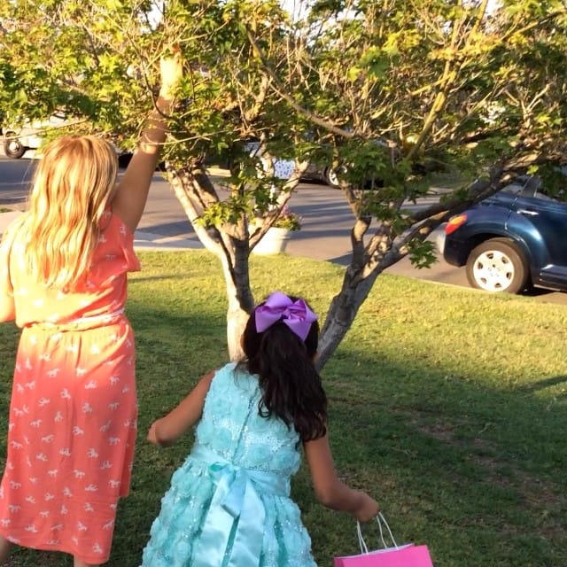 #easter egg hunt Post image