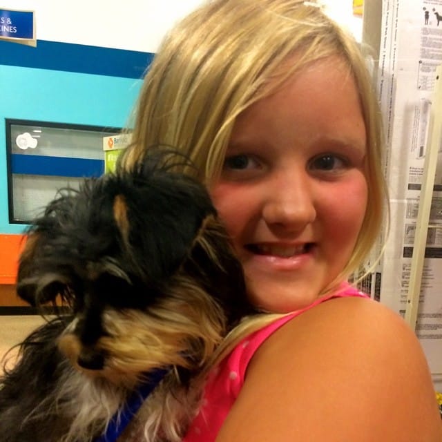Twinkle and Jessalyn #schnauzer #love #adoption Post image