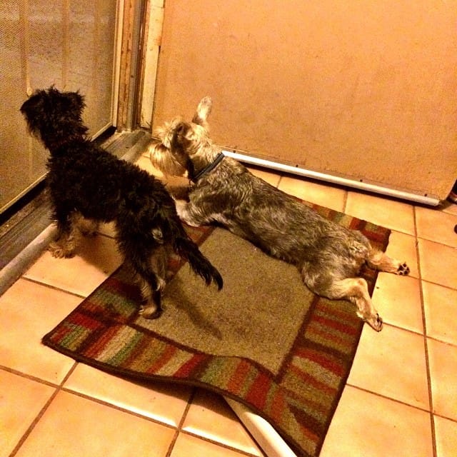 "When's momma coming home?" Post image