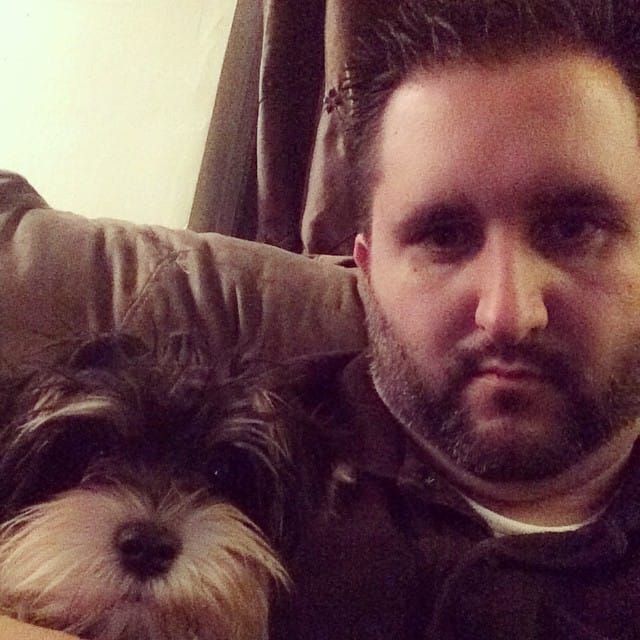 The littlest girl on the family. Twinkle the #yorkie Post image