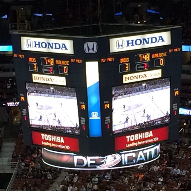 3 - Zip, Ducks #ducks #hockey Post image