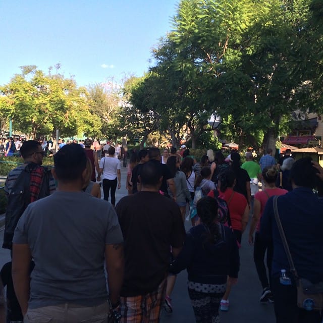 Hello Disneyland, it's been a while. Post image