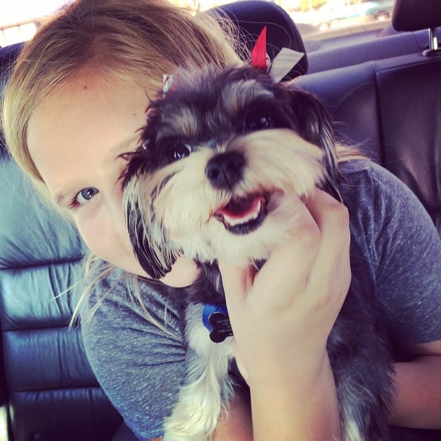 Jessalyn and Twinkle Post image