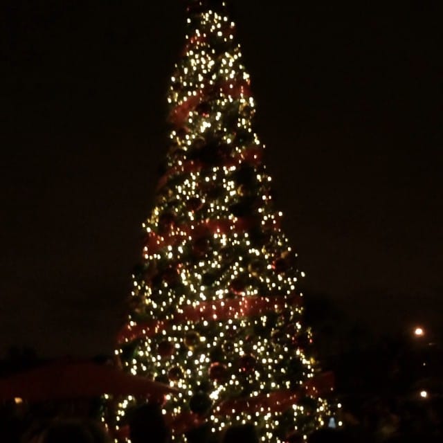Tree lighting countdown #evfreefullerton #kingdomcome Post image