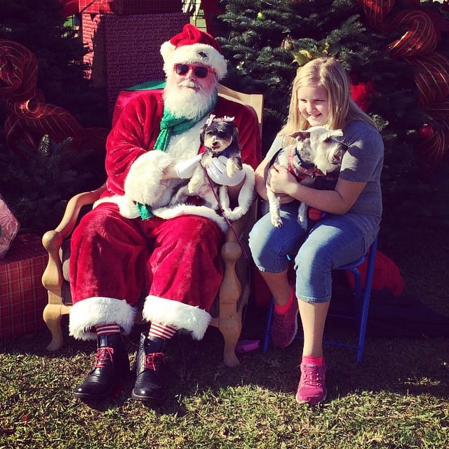 Santa, Twinkle, Lincoln and Jess Post image