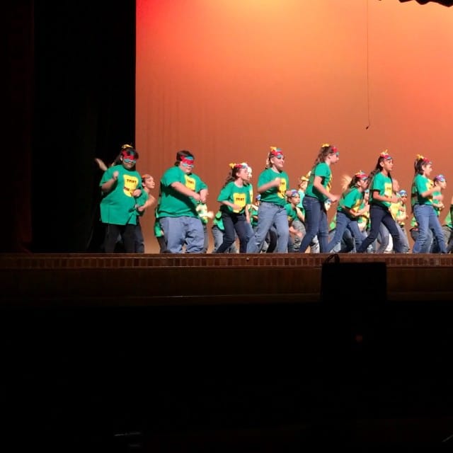 My kiddo getting her TMNT on Post image