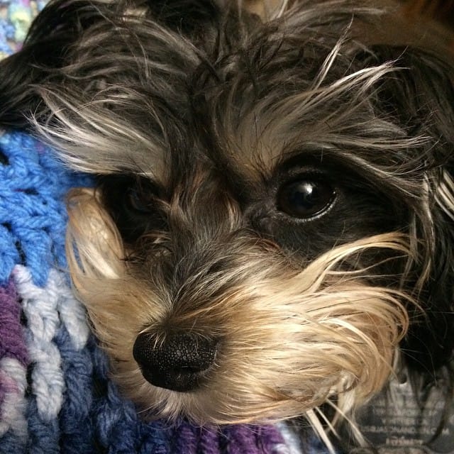 She's so pretty #twinkle Post image