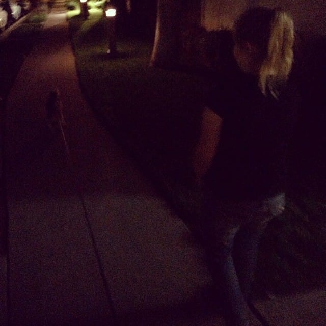 Capping off the night with a #dog walk. Post image