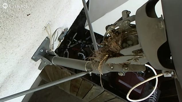 How to setup a YouTube live video stream using FFMPEG Post image