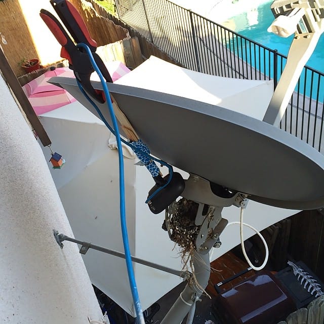 My House Finch streaming live on@ YouTube 24/7. This is a behind the scenes look. Post image