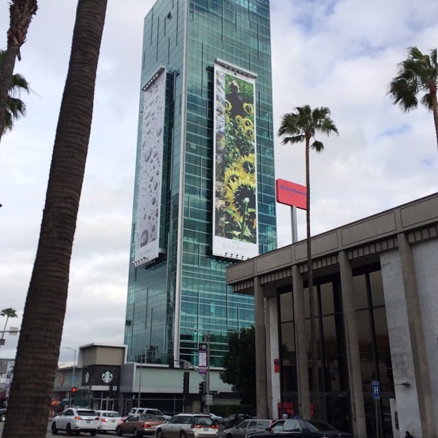 Arrived at Weirdoville Post image