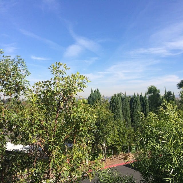 Another amazingly great looking day today. Post image