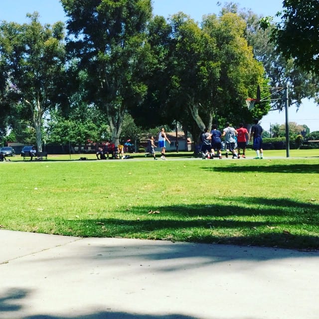 Park Basketball Post image
