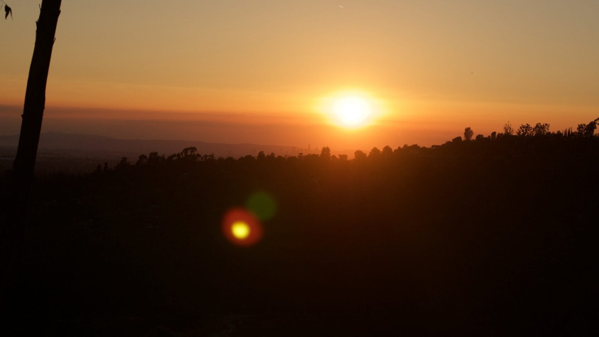 Timelapse 4K Arroyo Pescadero Trail Whittier, CA Post image