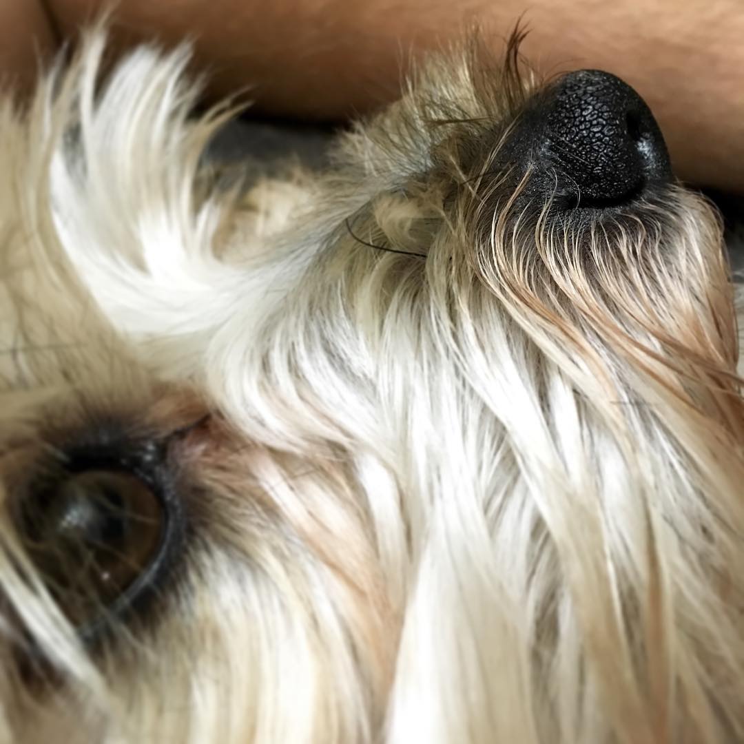 The nose Post image