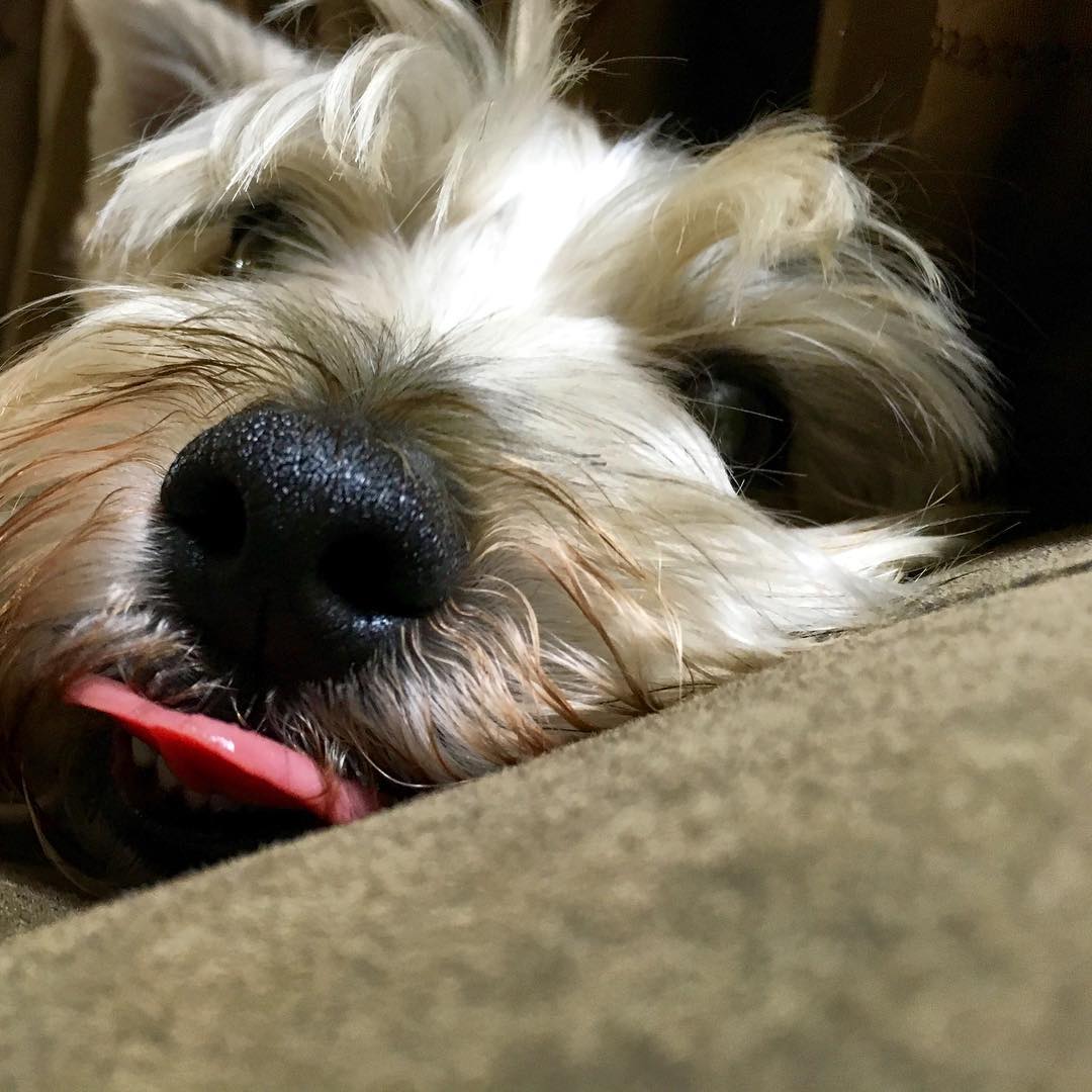 What a silly boy Post image