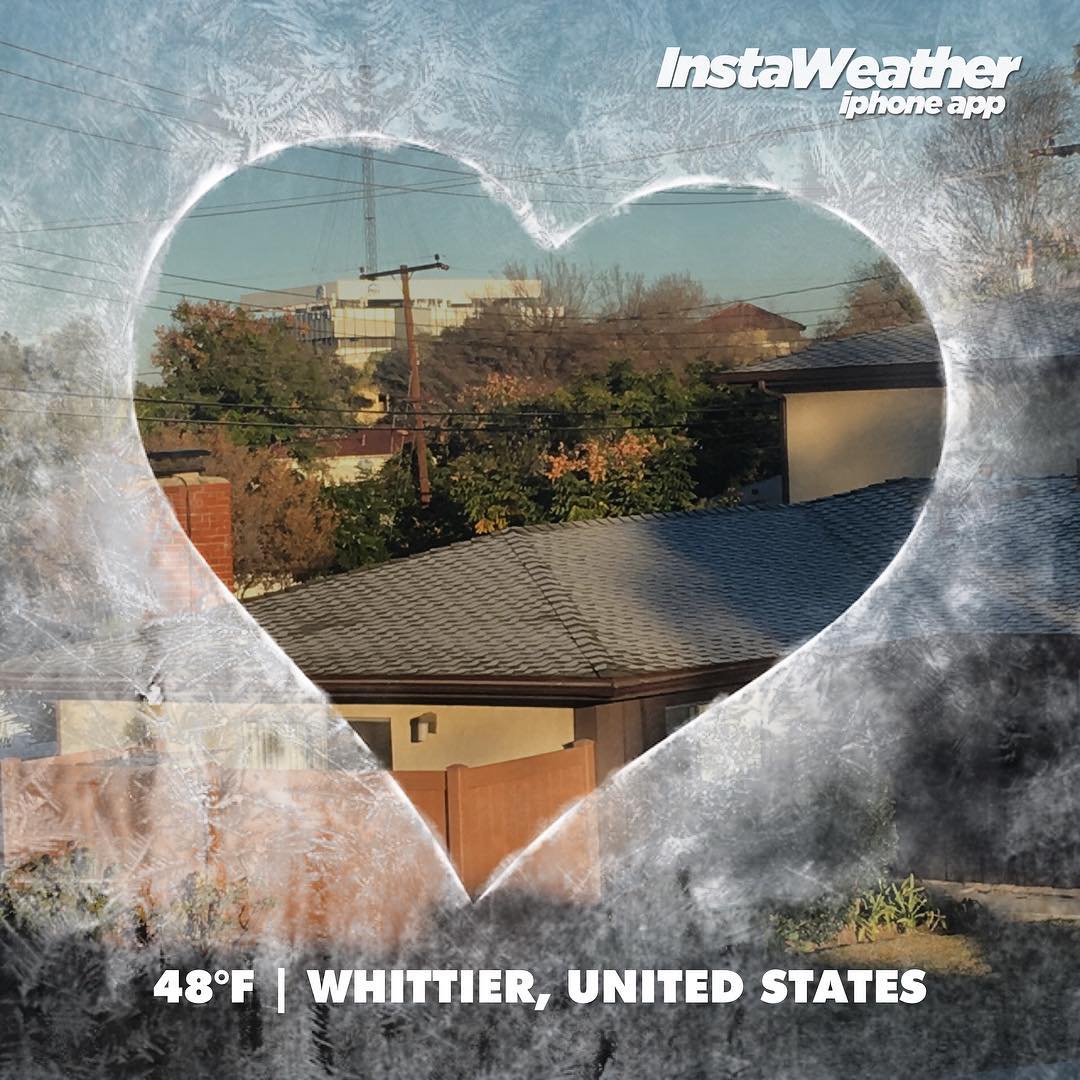 It's a lil frosty out this morning. Last night the dogs were shivering in bed Post image