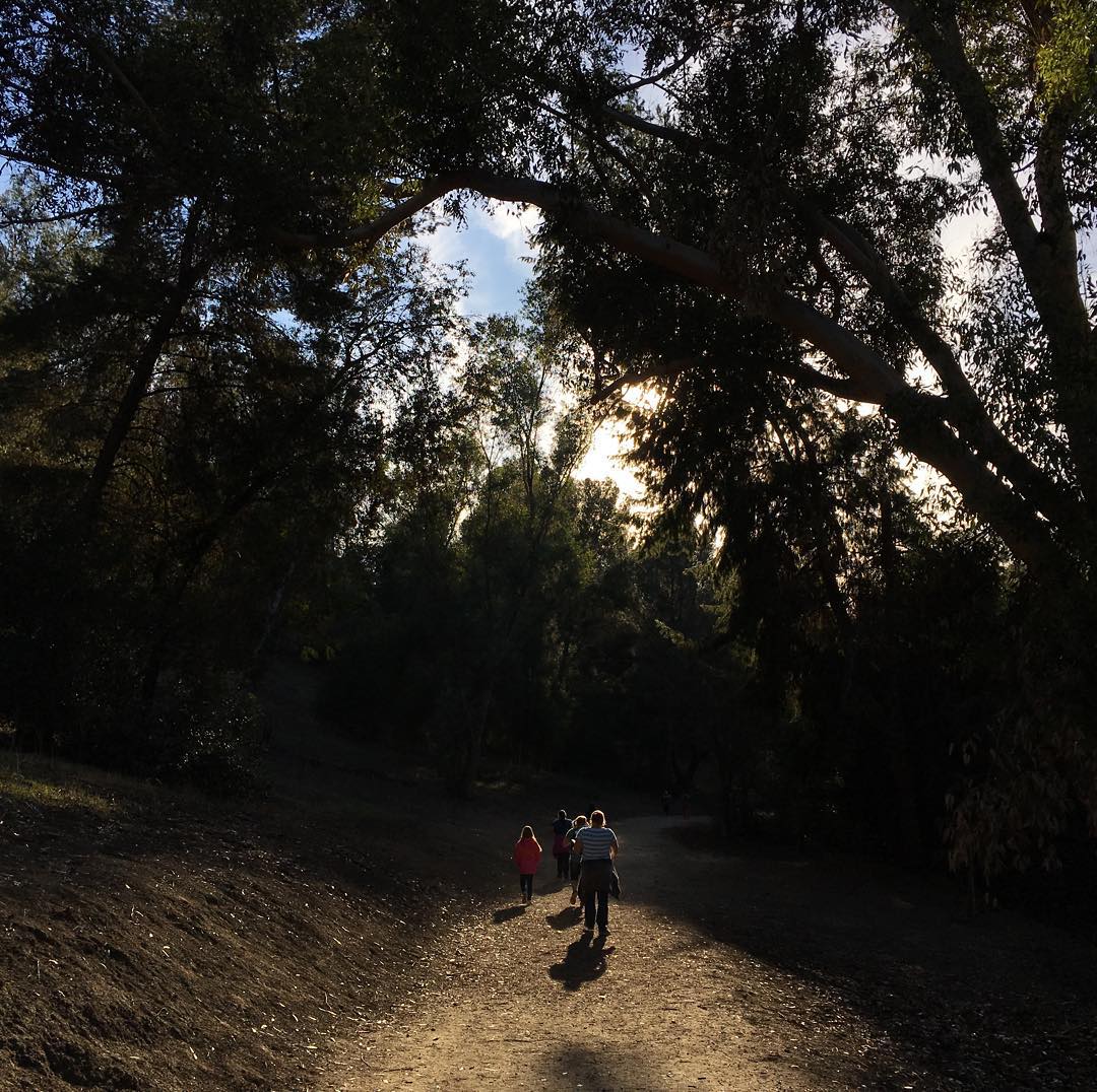 Amazing lil hike with family and friends Post image
