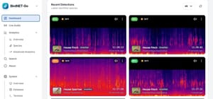 How I Turned My Security Cameras Into an Automatic Bird Identification System with BirdNet-Go Feature image