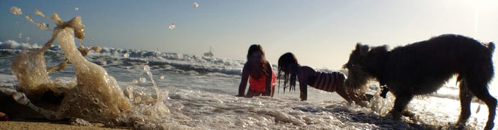 New Website Feature image