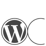 OC Wordpress June Meetup Video Stream Feature image