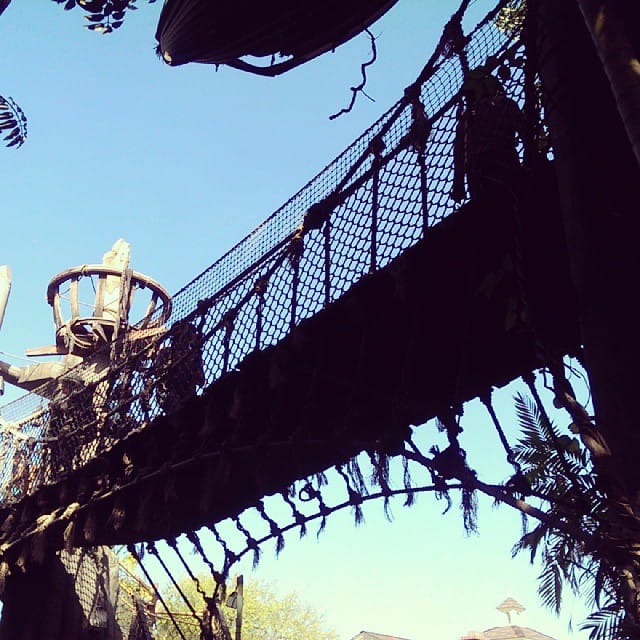 Untitled Feature image