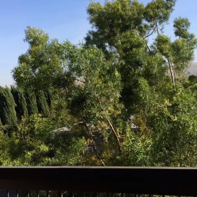 Windy day today #evfreefullerton Feature image
