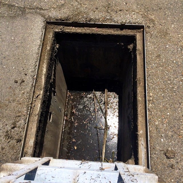 So, how's your day going? #feelslikecaltranswork Feature image