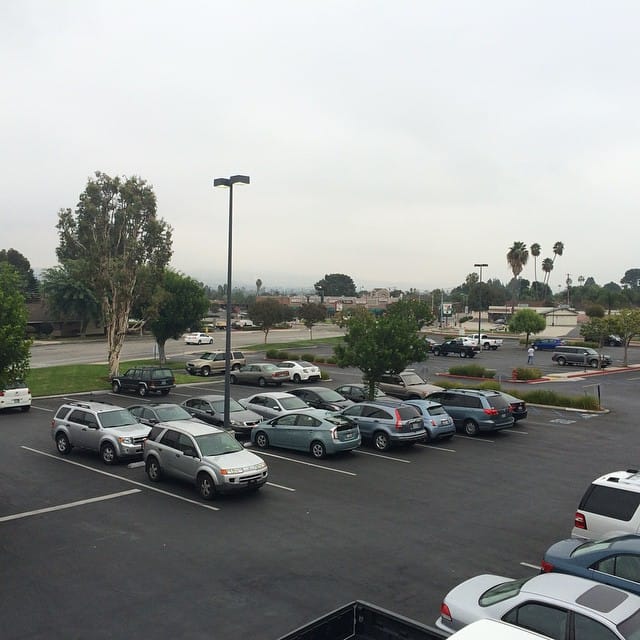 Nice, cool, quiet morning here @evfreefullerton. Enjoy your Monday! Feature image