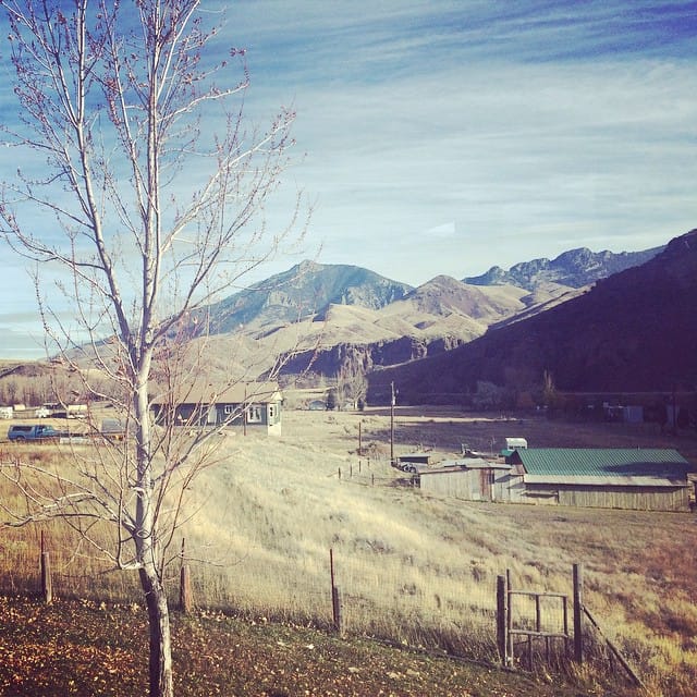 It's super pretty out today in #salmon #idaho #salmonriver Feature image