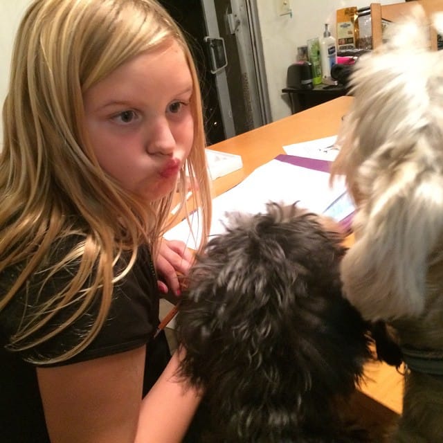 The dogs are distracting Jess from doing her homework. Feature image