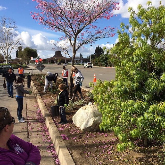Mini serve weekend with #evfreerooted #evfreefullerton #lovefullerton Feature image