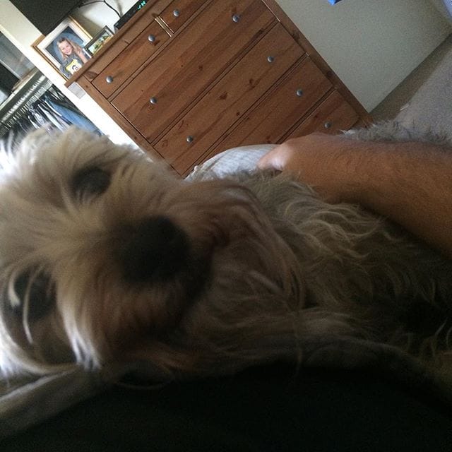 He moved to come see me Feature image