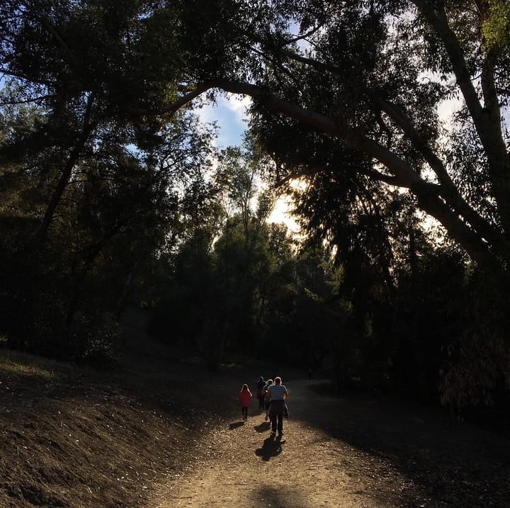 Amazing lil hike with family and friends Feature image