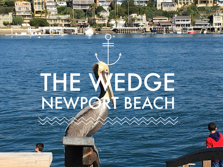 Newport Beach Timelapse Feature image